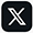 X icon