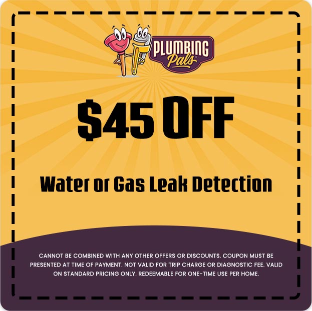 Discount on Water or Gas Leak Detection
